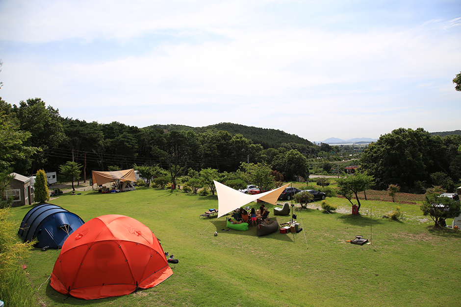더숲캠핑장