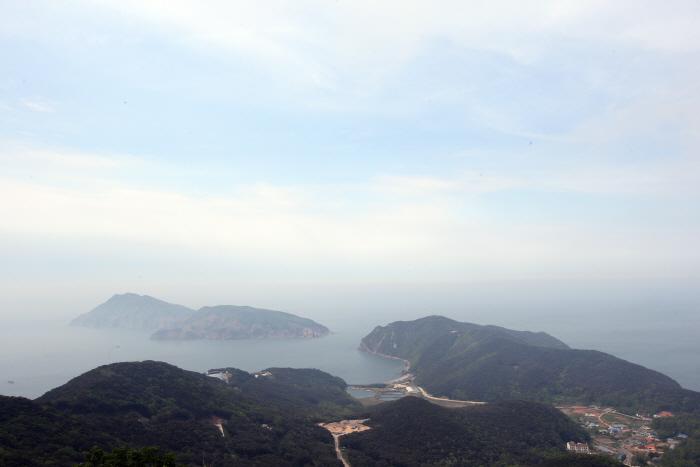 덕적도 갈대 군락지 5