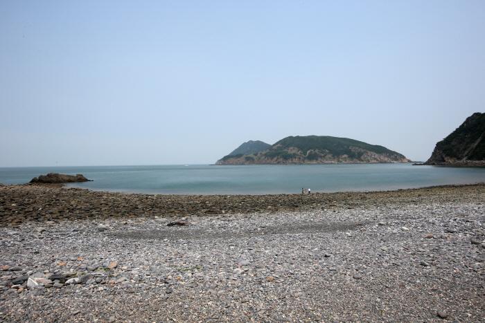 덕적도 갈대 군락지 6