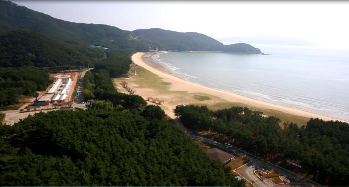 덕적도 갈대 군락지 15
