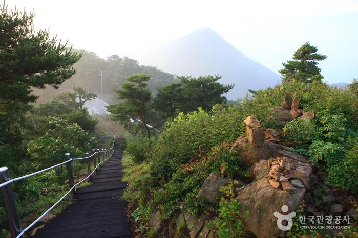 부아산 구름다리