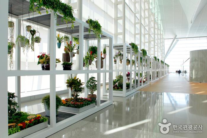 인천국제공항 제2여객터미널 18