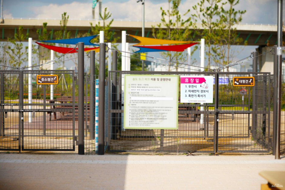 송도 도그파크 3