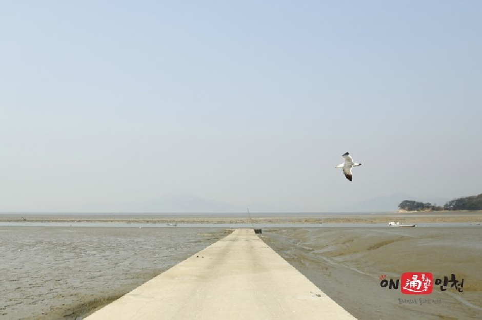 예단포선착장 2