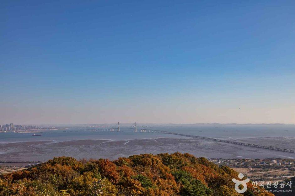 백운산전망대 5