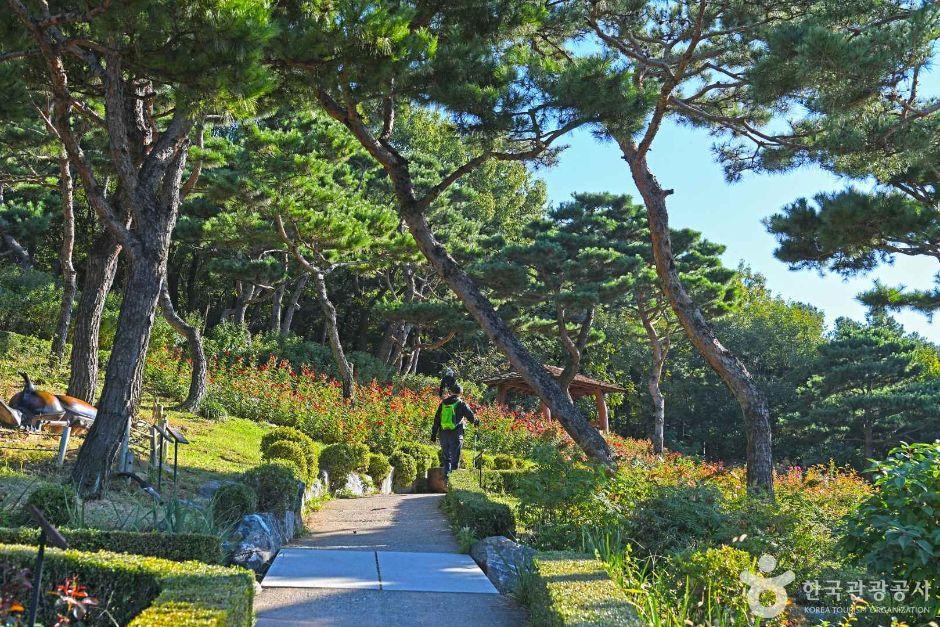 계양산장미원 3
