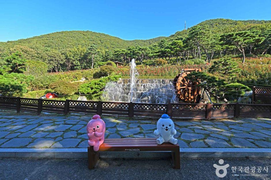 계양산장미원 4
