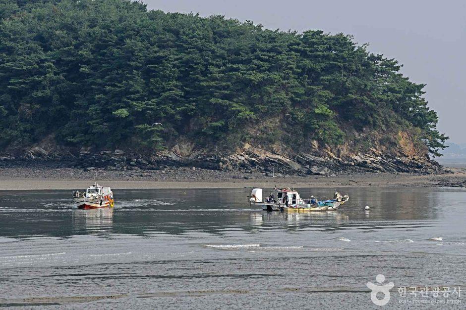 예단포선착장 5