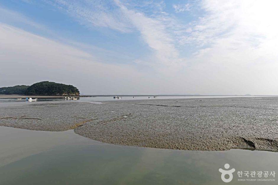 예단포선착장 6