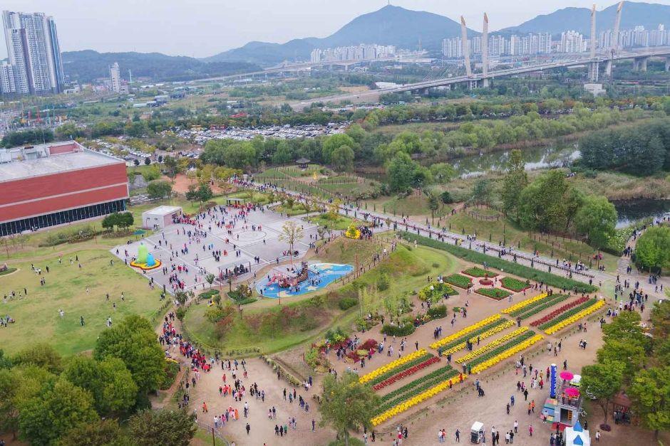 드림파크 국화축제 11