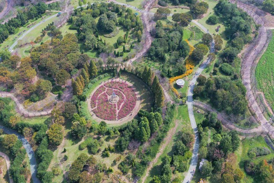 드림파크 국화축제 12