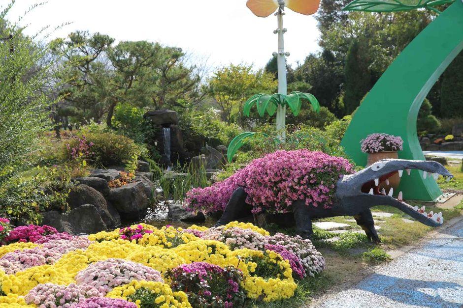 드림파크 국화축제 13