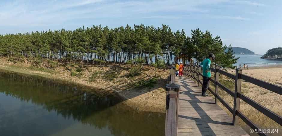 밧지름해변 1