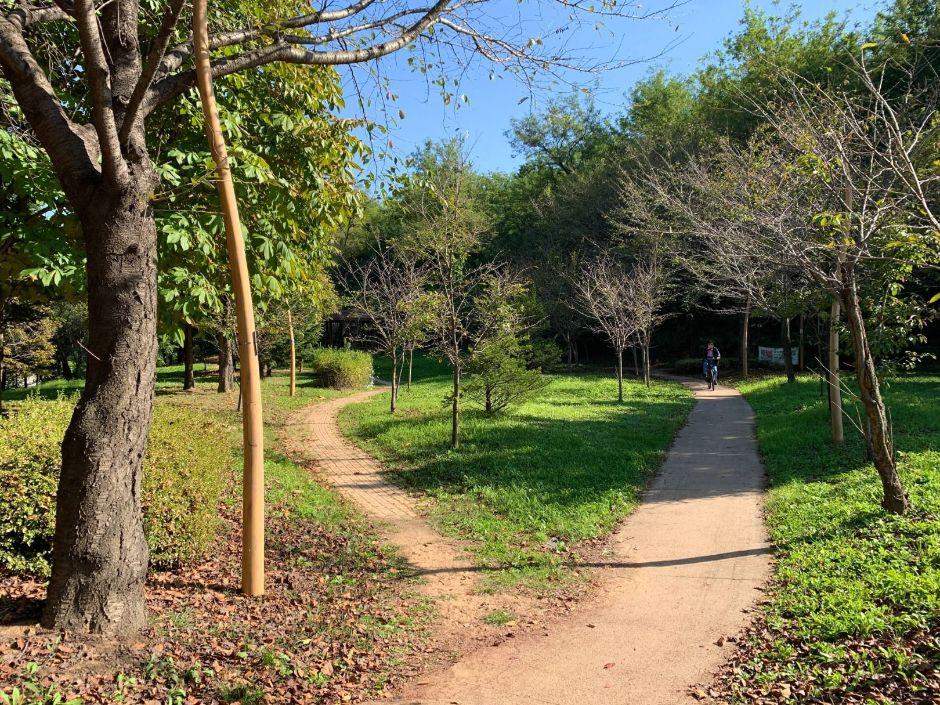 논현포대근린공원 4