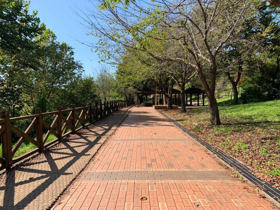 논현포대근린공원 9