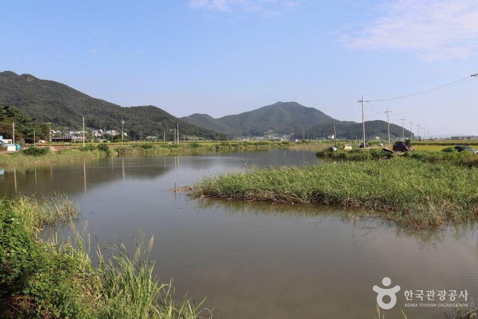 선두포저수지