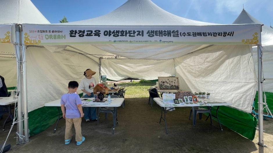 드림파크 벚꽃축제 4