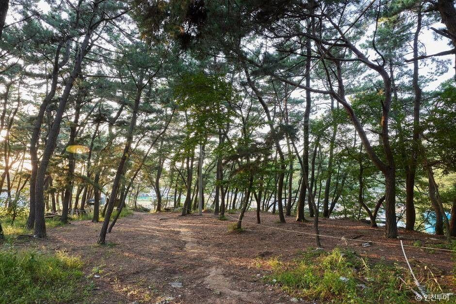 호룡곡산 1