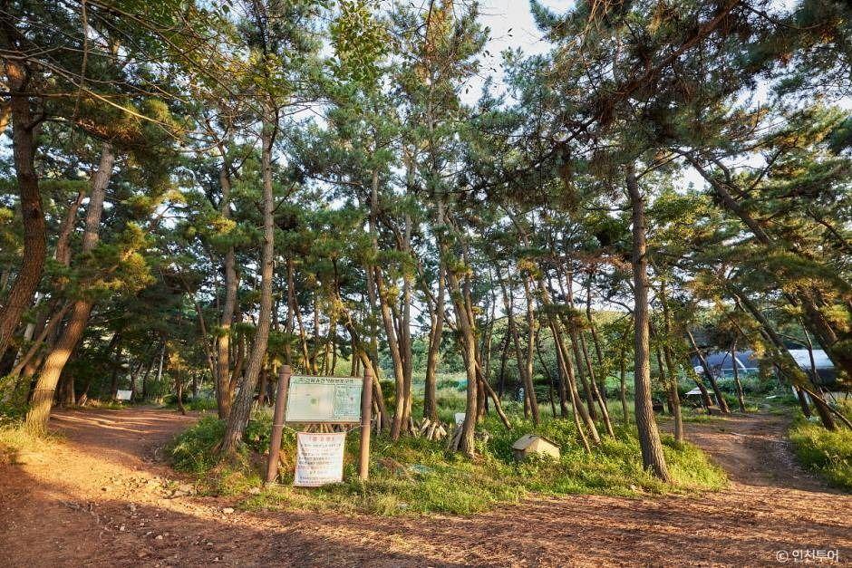 호룡곡산 2