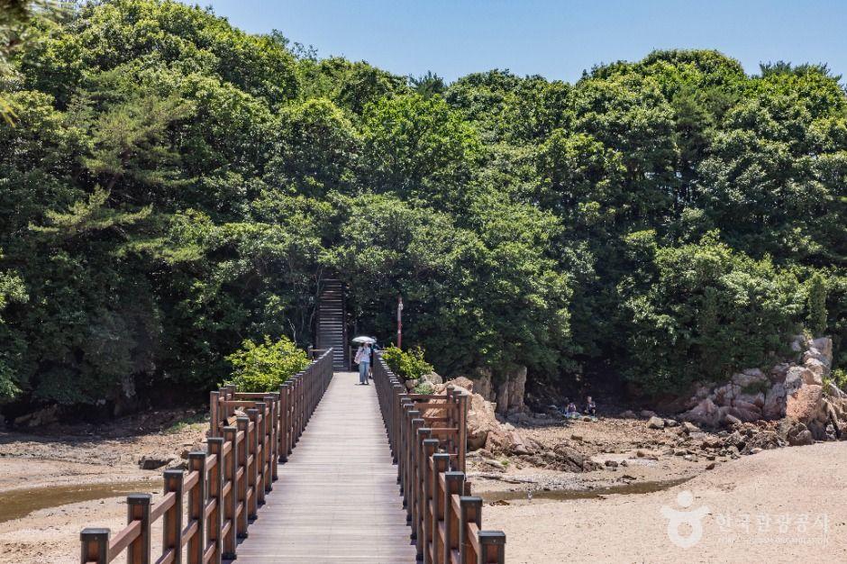 해상관광탐방로 4