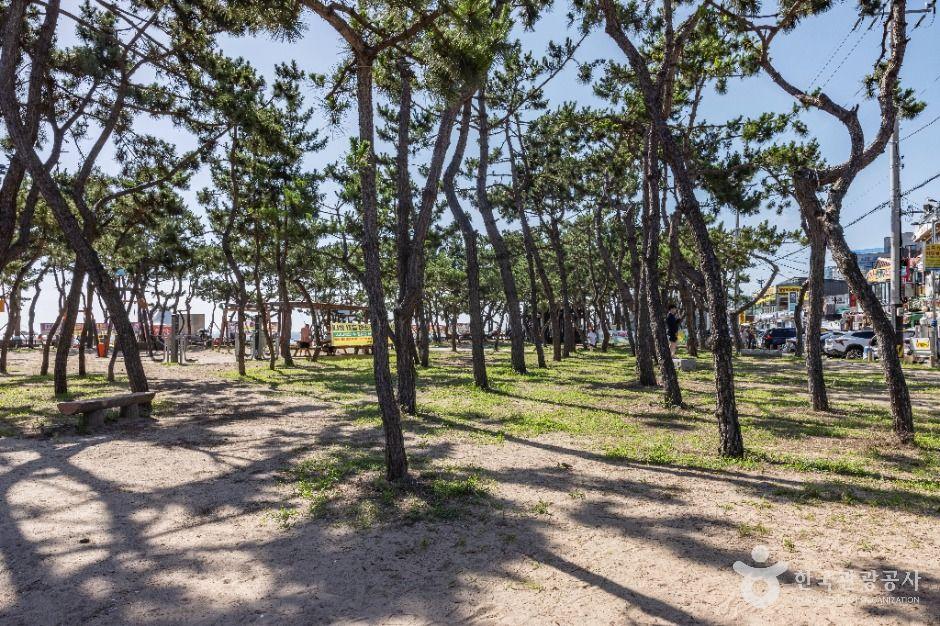 을왕리해수욕장 7