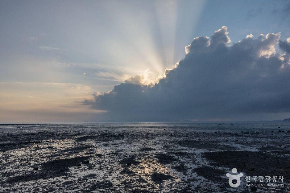 장화리일몰조망지 9