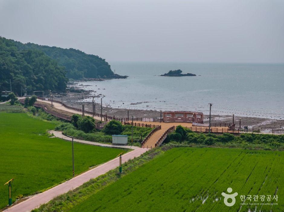 장화리일몰조망지 10