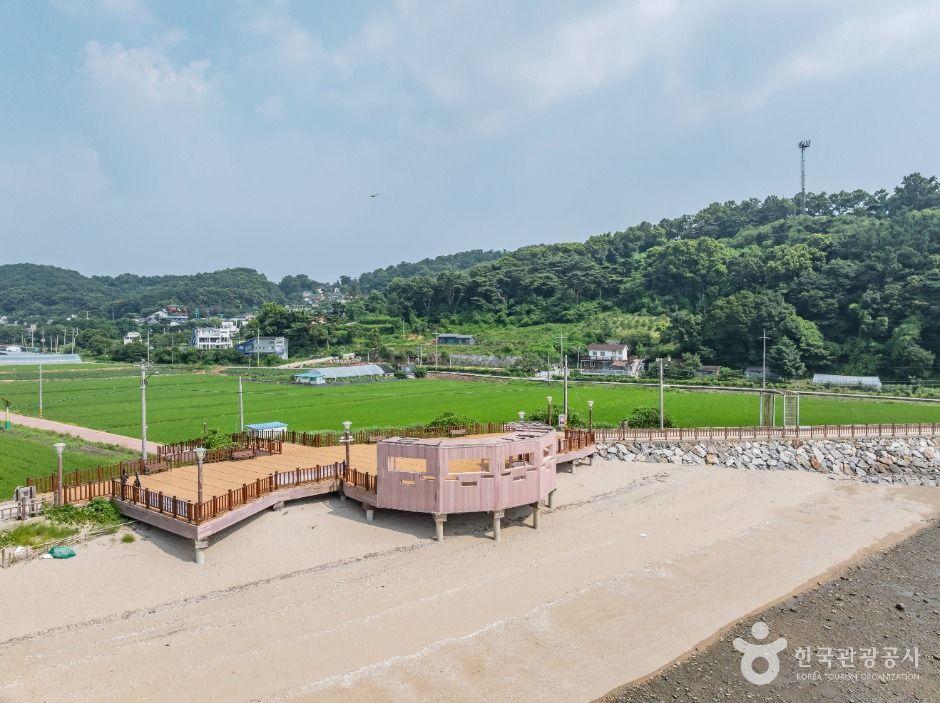 장화리일몰조망지 14