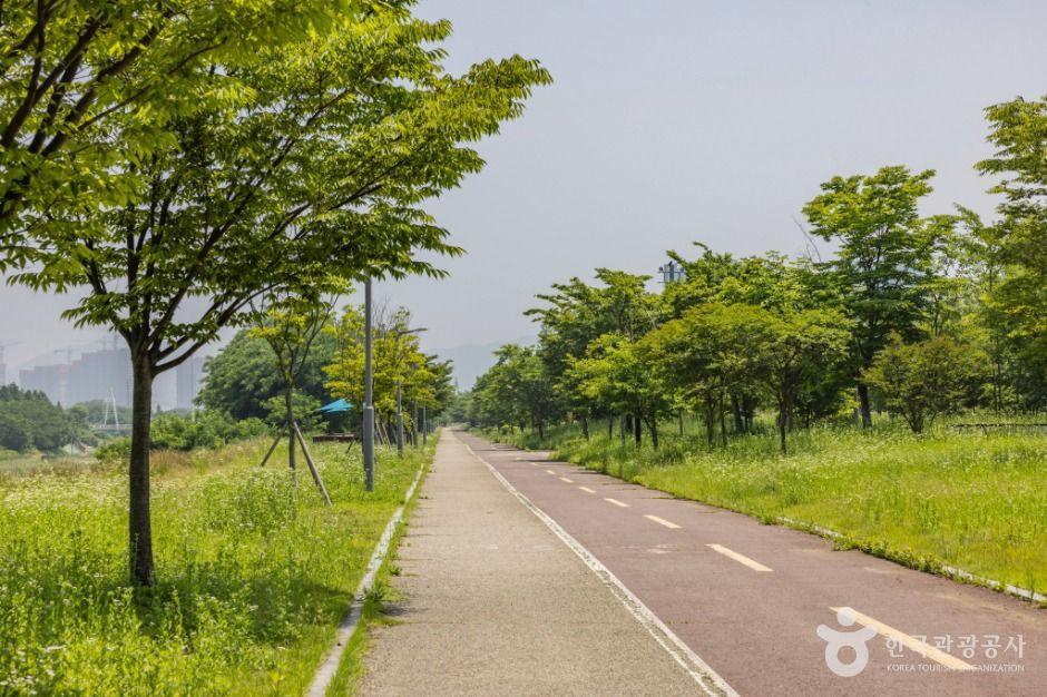 늘푸른공원 4