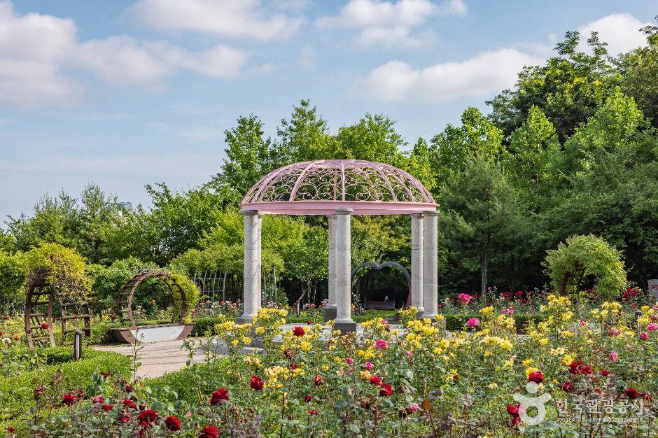 장미공원 14