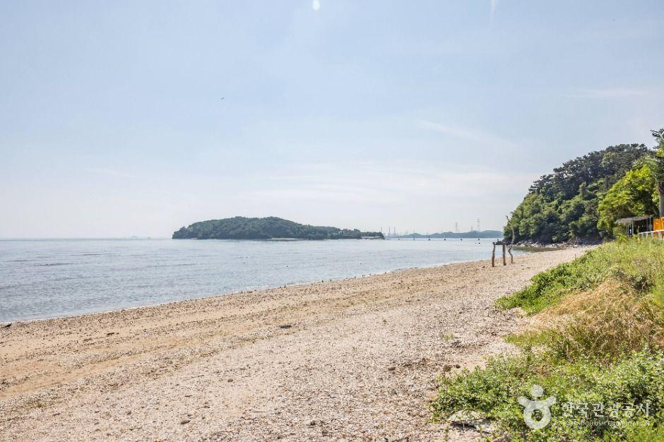 당너머해수욕장 10