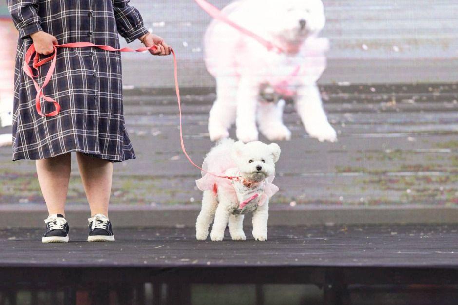 한복사랑 인천시민 놀이마당 5