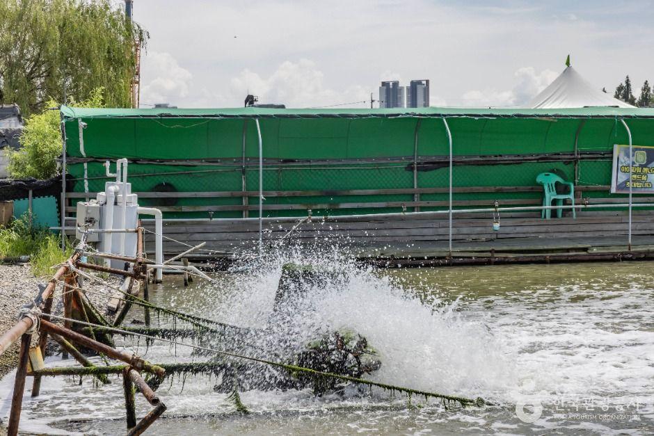 소래바다낚시터 3