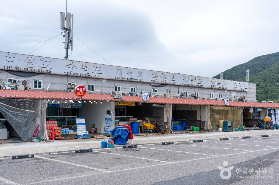 선두5리어시장 2