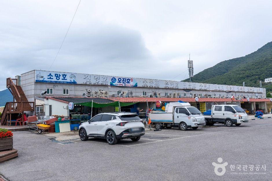 선두5리어시장 3