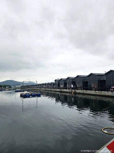 선두바다낚시터 3