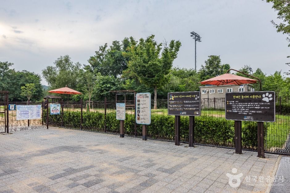 인천대공원 반려동물 놀이터 2