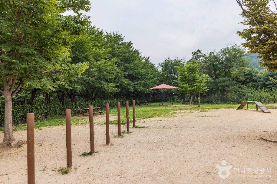 인천대공원 반려동물 놀이터 4