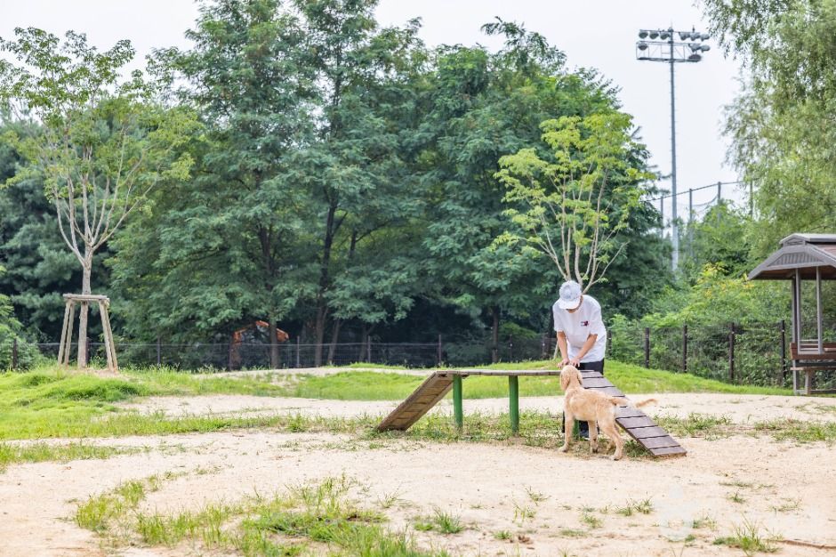 인천대공원 반려동물 놀이터 6