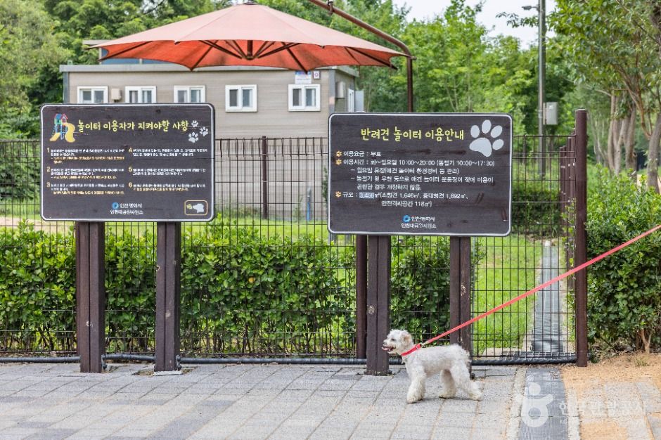 인천대공원 반려동물 놀이터 7