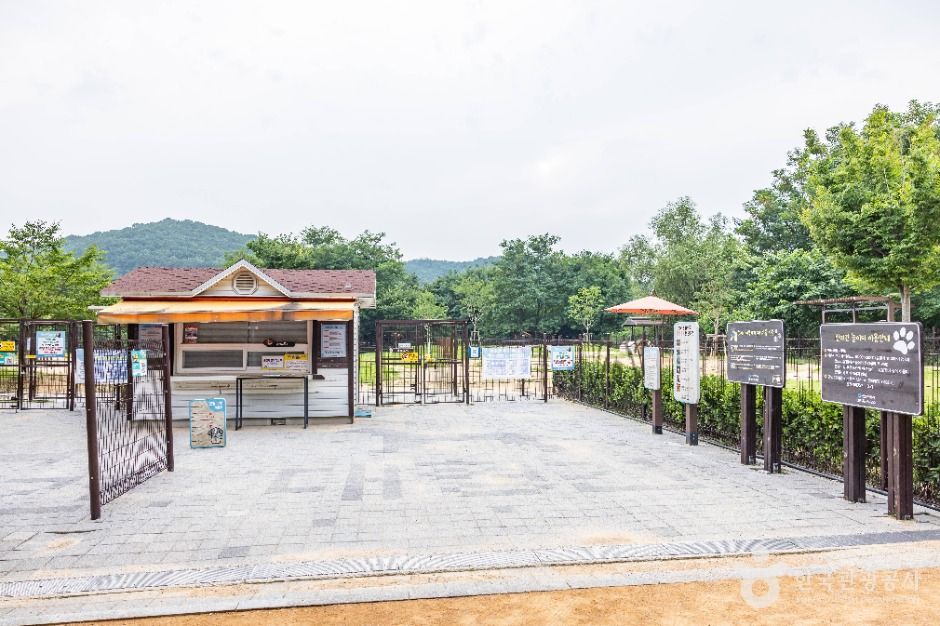인천대공원 반려동물 놀이터 9