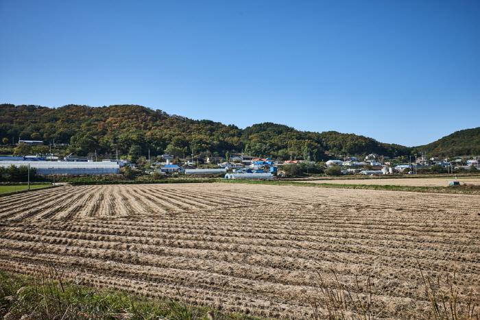 인천 푸른벗말 2