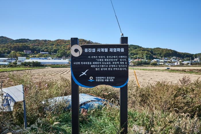 인천 푸른벗말 5