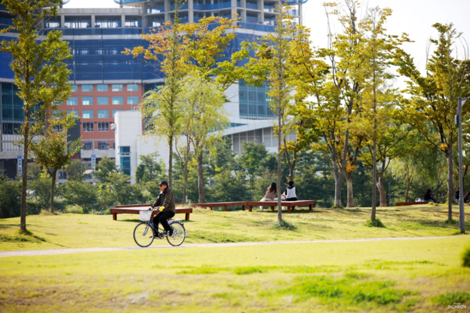 송도 도그파크 1