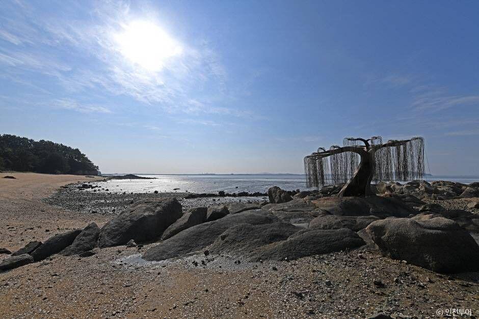 신시모도(신도ㆍ시도ㆍ모도) 2