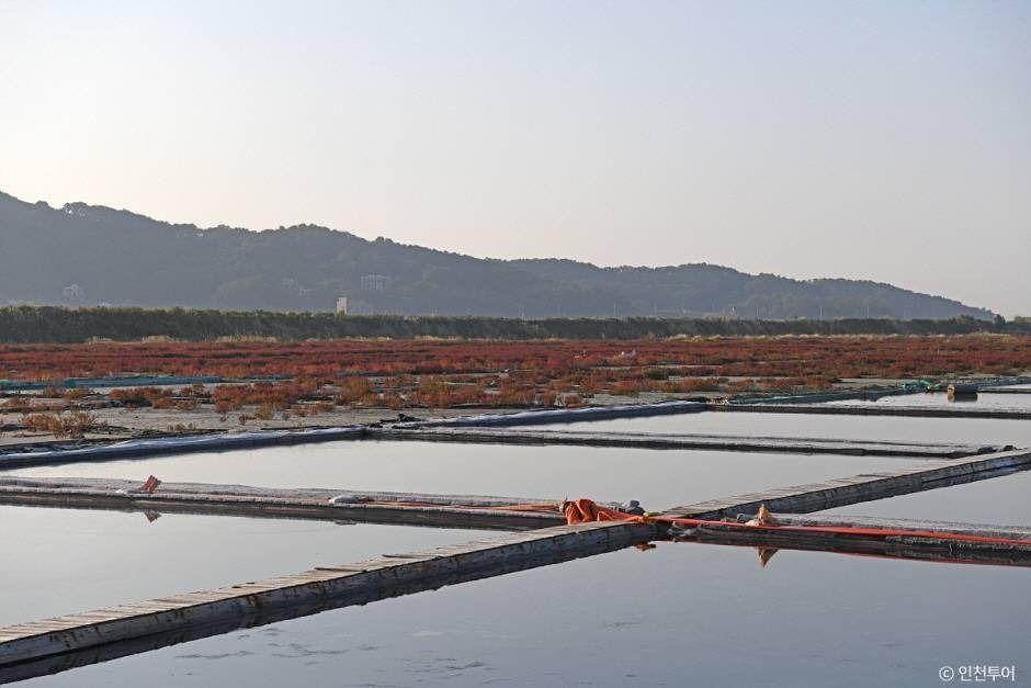 신시모도(신도ㆍ시도ㆍ모도) 4