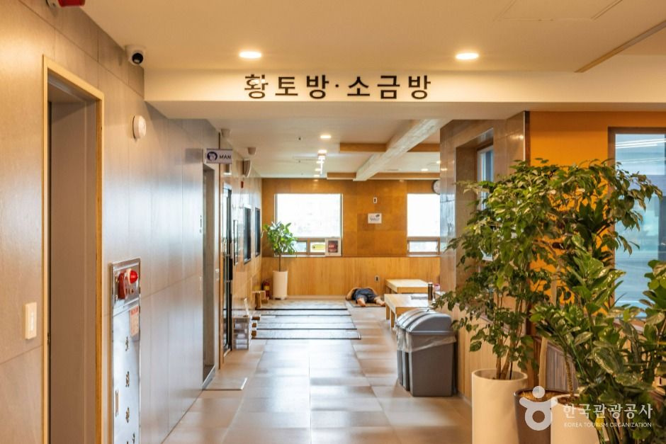 키위스파랜드 18