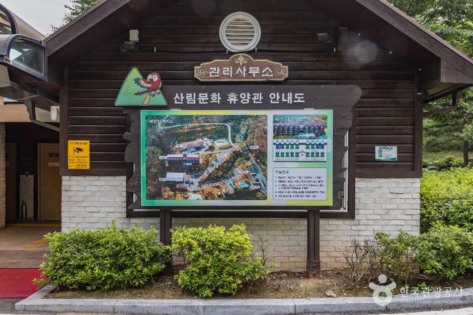 석모도 자연휴양림 2