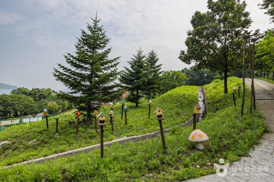 석모도 자연휴양림 5