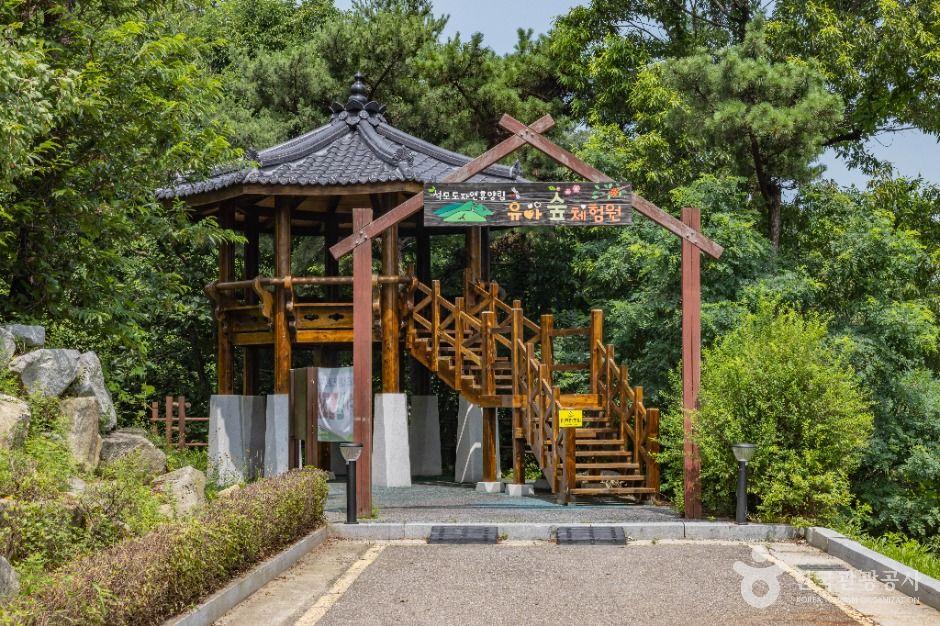 석모도 자연휴양림 13
